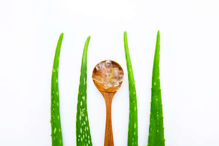 Aloe vera fresh leaves with aloe vera gel on wooden spoon. isolated over whiteの写真素材