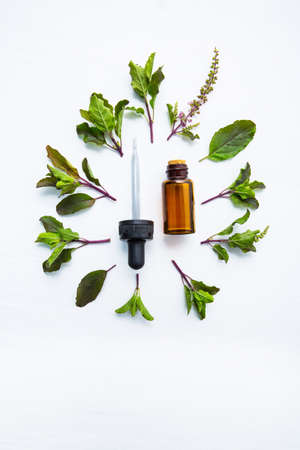 Holy Basil Essential Oil in a Glass Bottle with Fresh Holy Basilの写真素材