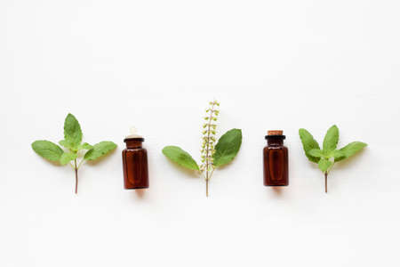 Holy basil essential oil with  fresh leaves.