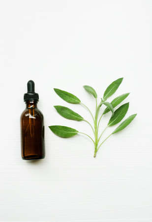 Natural sage essential oil with sage leaves on white  blackground.