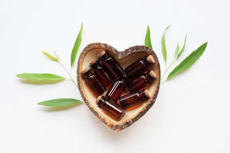Eucalyptus oil bottle  on white background.の写真素材