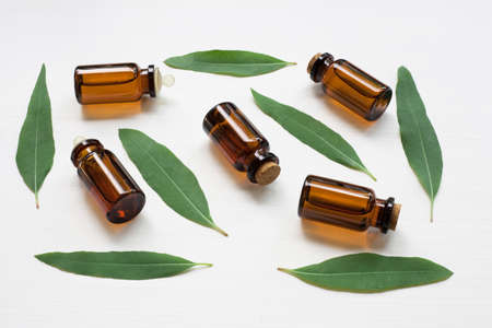 Eucalyptus oil bottle  on white background.