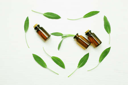Natural sage essential oil with sage leaves on white  blackground.の写真素材