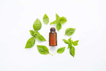 Basil essential oil with Basil leaves on white  blackground.の写真素材