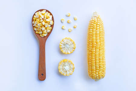 Corn on a white background.の写真素材