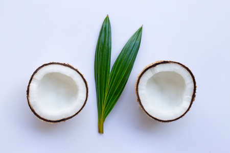 Coconut with leaf on white background.の写真素材