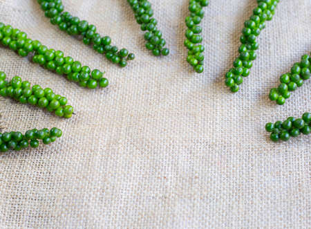 fresh green peppercorns  on sackcloth backgroundの写真素材