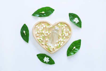 Essential oil with jasmine  flower on white background.の写真素材