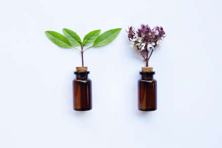 Sweet Basil  with Essential Oil in a Glass Bottleの写真素材