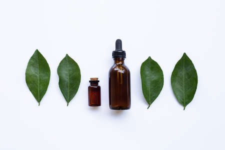 Essential oil with orange leavesの写真素材