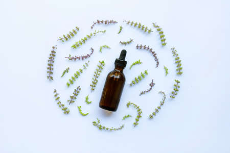 Flower of holy basil  with drop bottle of essential oil herb on white backgroundの写真素材