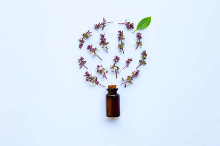 Flower of sweet basil and leave with drop bottle of essential oil herb on white backgroundの写真素材