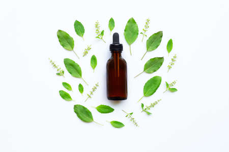 Holy Basil Essential Oil in a Glass Bottle with Fresh Holy Basilの写真素材