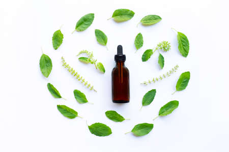 Holy Basil Essential Oil in a Glass Bottle with Fresh Holy Basil