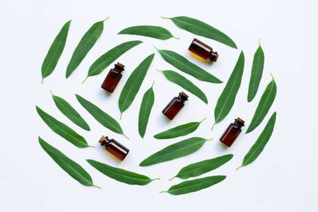 Eucalyptus oil bottles with leaves on white background.