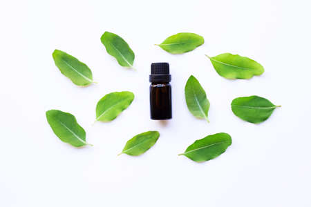 Eucalyptus oil bottle with  leaves on white background.の写真素材