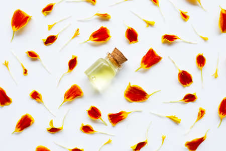 Essential oils of marigold flowerの写真素材