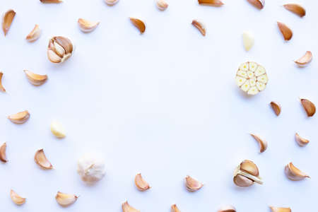 Garlic on white background.  Copy spaceの写真素材