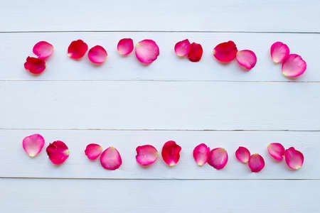 Rose petals on white wooden background. Copy space