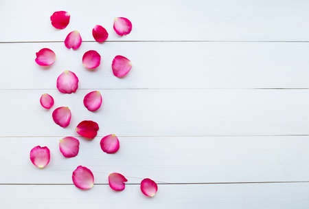 Rose petals on white wooden background.の写真素材