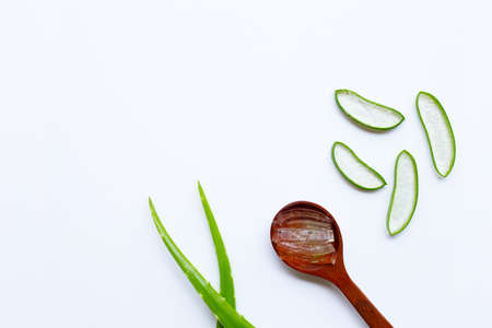 Aloe vera is a popular medicinal plant for health and beauty, on white background. Copy spaceの写真素材
