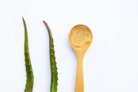 Aloe vera gel on wooden spoon with aloe vera on white background.の写真素材