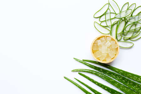 Aloe vera is a popular medicinal plant for health and beauty, on white background.の写真素材