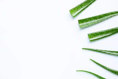 Aloe vera is a popular medicinal plant for health and beauty, on white background. Copy spaceの写真素材