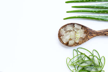 Aloe vera is a popular medicinal plant for health and beauty, on white background.の写真素材