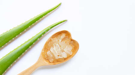 Aloe vera is a popular medicinal plant for health and beauty, on a white background.の写真素材