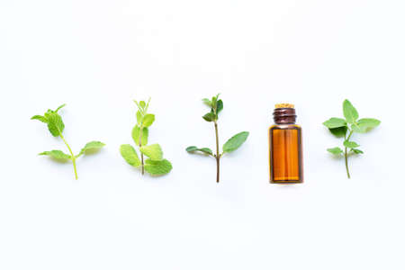 Essential oil with different types of mint on white background.の写真素材