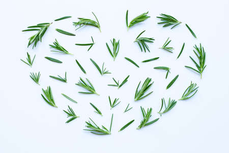 Fresh rosemary isolated on white background.の写真素材