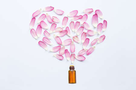 Essential oil with pink lotus petals on white background.の写真素材