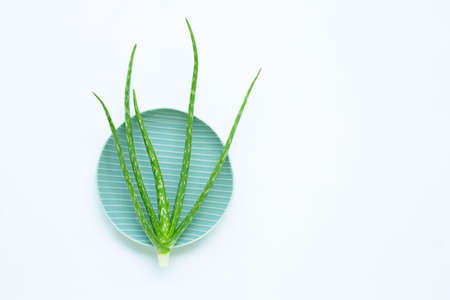 Aloe vera  on white background.の写真素材