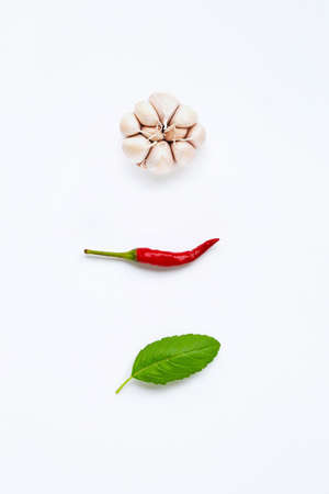 Ingredients herb and spice, holy basil, chili and garlic on white background. Healthy eating conceptの写真素材