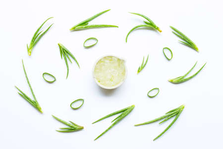 Aloe vera is a popular medicinal plant for health and beauty, on a white background.の写真素材