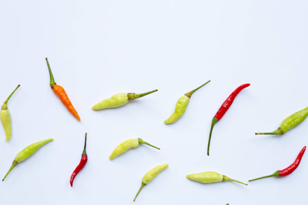 Chili peppers on white background. Copy space
