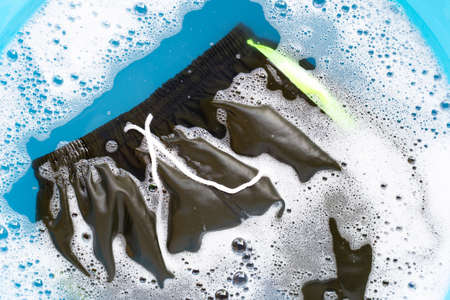 Male shorts soak in powder detergent water dissolution, washing cloth. Laundry concept