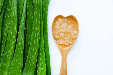 Aloe vera is a popular medicinal plant for health and beauty. Top viewの写真素材