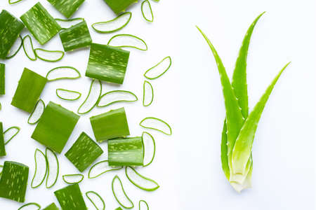 Aloe vera is a popular medicinal plant for health and beauty, on a white background.の写真素材