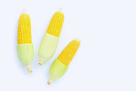 Fresh corn on a white background.の写真素材