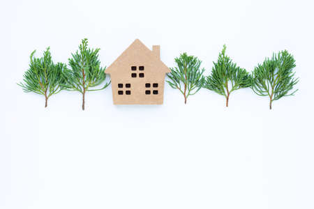 Miniature house with  dragon juniper's leaves (Juniperus chinensis) on white background.の写真素材