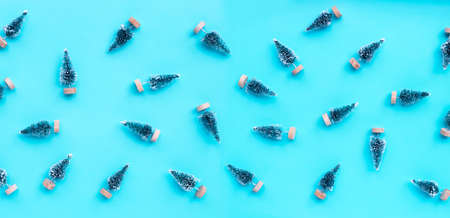 Miniature Christmas pine tree on blue background. Top viewの写真素材