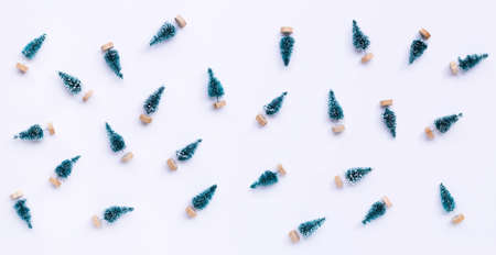 Miniature Christmas pine tree on white background. Top viewの写真素材