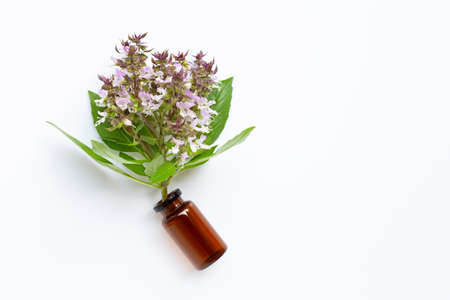 A bottle of essential oil with fresh sweet basil leaves and flower on white background. Copy spaceの写真素材