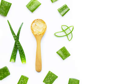 Aloe vera is a popular medicinal plant for health and beauty, on white background. Copy spaceの写真素材