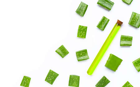 Aloe vera is a popular medicinal plant for health and beauty, on white background. Copy spaceの写真素材