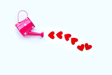 Pink watering can with wooden heart shaped on  white background, Valentines day concept. Copy spaceの写真素材