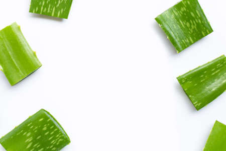 Aloe vera is a popular medicinal plant for health and beauty, on a white background.の写真素材