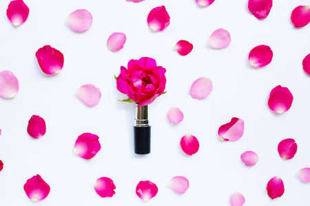 Lipstick with rose petals isolated on white background.の写真素材